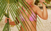 Sun Erotica 512737 Sharka Blue Cute Blonde Teen Sharka Blue In Pink Bikinis Posing Nude By The Palms On A Sandy Beach Sun Erotica
