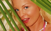 Sun Erotica 512737 Sharka Blue Cute Blonde Teen Sharka Blue In Pink Bikinis Posing Nude By The Palms On A Sandy Beach Sun Erotica
