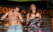 Club Flashers 519012 Club Flashers
