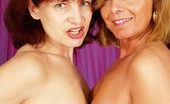 Granny Lesbian Club 520740 Wanda & Koko Mature Lesbians Scissor-Fuck Each Other! Granny Lesbian Club
