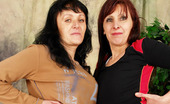 Granny Lesbian Club 520762 Martina & Jana Gorgeous Granny Lesbian Martina Makes Jana Cum! Granny Lesbian Club
