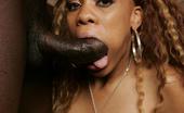 Hood Hardcore 521076 Black Chick Melrose Foxxx Gives A Black Sausage A Wild Blowjob And Bends Over To Get Pumped Hood Hardcore
