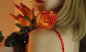 Glamour Smokers 529027 Marie Claude Arrogant Blond Defiles A Rose With Her Cigarette Glamour Smokers
