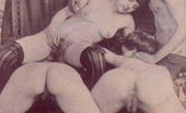 Retro Porn Archive 531234 Retro Porn Archive
