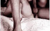 Retro Porn Archive 531238 Retro Porn Archive
