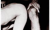 Retro Porn Archive 531238 Retro Porn Archive
