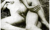 Retro Porn Archive 531246 Retro Porn Archive
