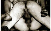 Retro Porn Archive 531246 Retro Porn Archive
