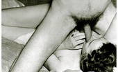 Retro Porn Archive 531304 Retro Porn Archive
