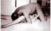 Retro Porn Archive 531304 Retro Porn Archive
