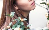 All Asians 532733 Akone Oozana All Asians
