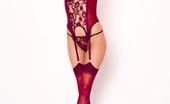 Stockings On Pornstars 533524 Gabi Black Gabi Black Plays With A Big Red Toy Stockings On Pornstars
