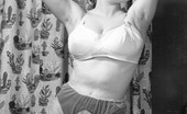 Vintage Flash Archive 534600 1950s And 60s Solos Dig The Hair Nylons And Full Panties! Vintage Flash Archive
