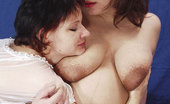 Girls Love Toys 556528 Stasha Foxy School Teacher Topless In Glasses And Sexy Stockings Girls Love Toys
