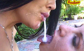Double Team Suckers 559673 Two Stunning Beauties Suck Dick And Swap Cum Double Team Suckers
