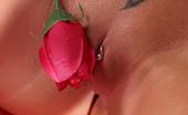Erotic Russians Tattooed Russian Blondie Fingering Her Tiny Clit And Sucking A Dildo With Lust Erotic Russians
