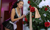 ePantyhose Land 560464 Jaclyn Curious Maid Finds A Pair Of Tights And Launches Into Kinky Pantyhose Play ePantyhose Land
