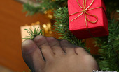 Nylon Feet Line 563343 Liloo Frisky Babe Rubbing Her Nyloned Feet Against Fir-Needles Of Christmas Tree Nylon Feet Line
