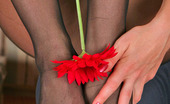 Nylon Feet Line 563543 Antoinette Seductive Babe Savoring Nice Flower While Posing In Her Sheer-To-Waist Hose Nylon Feet Line
