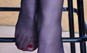 Nylon Feet Line 564173 Margarita Footsie Gal Dangles Her Shoe Before Showing Her Painted Toes Thru Pantyhose Nylon Feet Line
