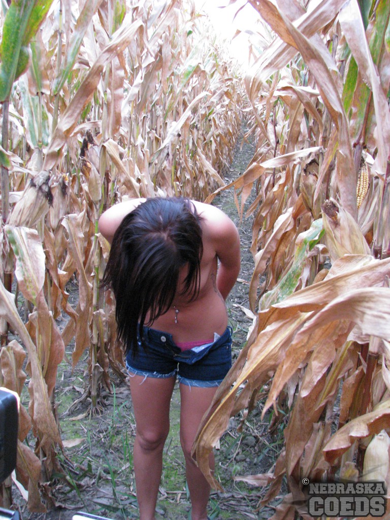 young japanese femjoy in cornfield 